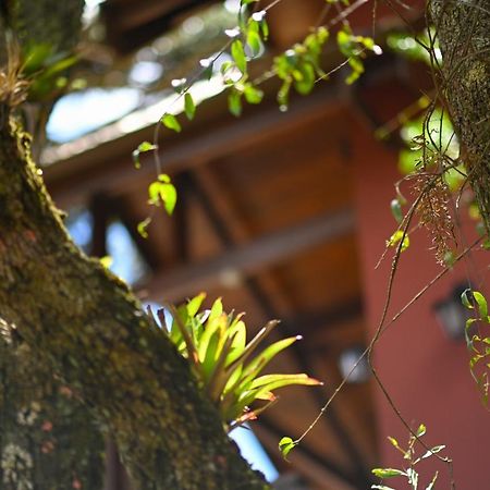 Campos do Jordão Badenwein 빌라 외부 사진